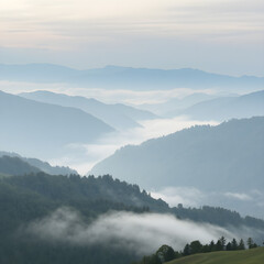 Fototapeta premium fog in the mountains