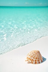 Seashell on Shores: A close-up of a seashell rests gracefully on a sun-kissed shore. Capturing the tranquility of coastal paradise, the clear turquoise waters gently caress the shoreline.