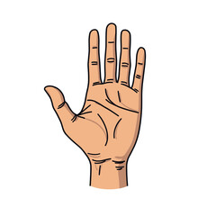 Cartoon Illustration of an Open Human Hand with Fingers Extended, Palm Facing Forward, Representing Stop or High Five