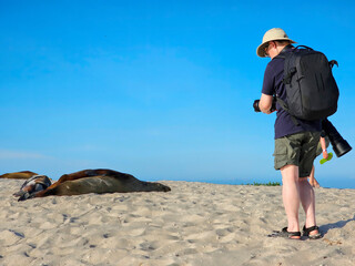 The Galapagos Islands are made up entirely of volcanic piles and volcanic lava. These islands are home to the Galapagos' unique animals, many of which are unique in the world