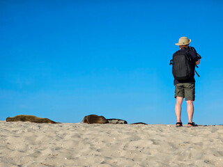 The Galapagos Islands are made up entirely of volcanic piles and volcanic lava. These islands are home to the Galapagos' unique animals, many of which are unique in the world