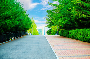 a road through the urban park surrounded by lush lush green grass and trees at Gimpo  Park in Korea