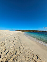 The Galapagos Islands are made up entirely of volcanic piles and volcanic lava. These islands are home to the Galapagos' unique animals, many of which are unique in the world