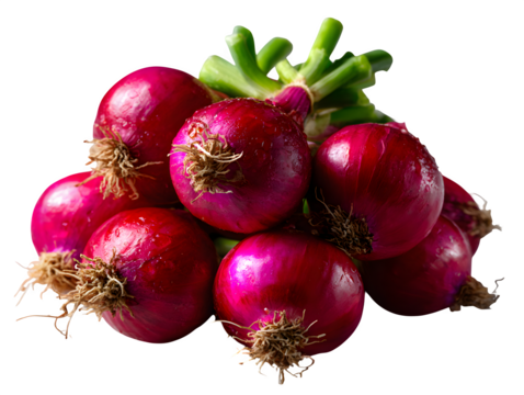 A group of fresh red shallots with roots visible, top-down arrangement, isolated on transparent background --ar 4:3 --v 7.0 --p 537mr6h --s 250 - Powered by Adobe
