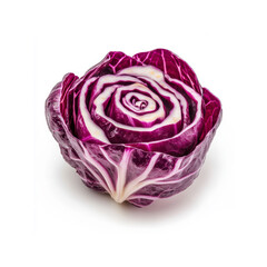 Fototapeta premium Radicchio Rose A Vibrant Vegetable Still Life