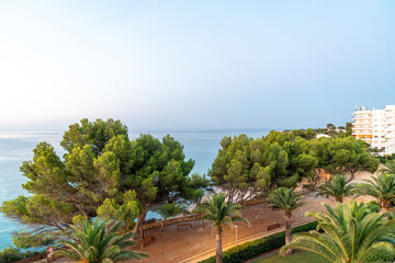 Mittelmeer Küste in Miami Platja Pinien Palmen und Hotelblick am Meer