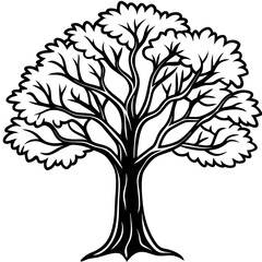 Obraz premium Magical Tree in Enchanted Woods