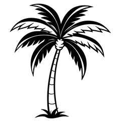 Fototapeta premium Shadowed Tropics