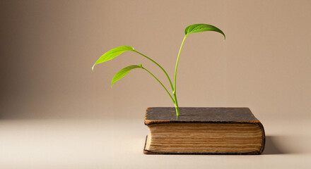 Old book with green plant growing from the top on neutral background  