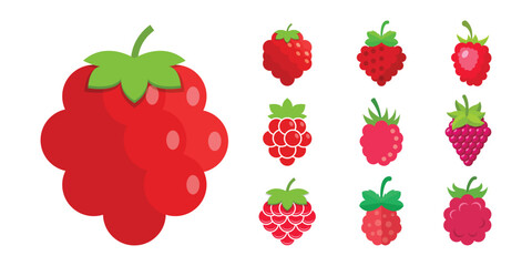 Raspberry fruit icon set collection in flat style. Raspberries berry vector illustration on isolated background. Nature snack sign business concept.