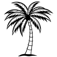 Fototapeta premium Shadowed Tropics