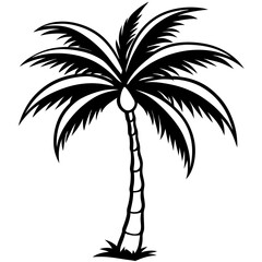 Fototapeta premium Shadowed Tropics