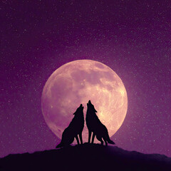 Pair of Wolves Howling at a Pink Full Moon Underneath a Starry Night Sky
