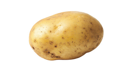 Single Raw Potato Close Up Isolated on Transparent Background