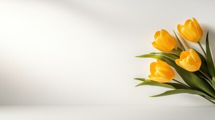 A fresh burst of yellow tulips beautifully arranged against a clean white background captures the essence of spring, symbolizing joy, renewal, and the beauty of nature.