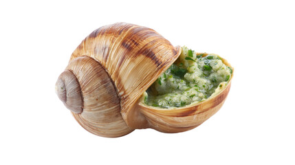 Escargot Stuffed with Garlic Herb Butter on Transparent Background