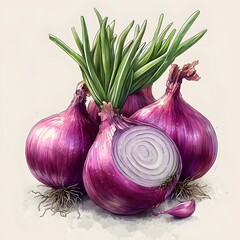 Minimalist Hand-Drawn Onions and Shallots Vector Illustration Featuring Precise Cut Details on a Transparent Background