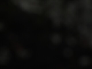 Subtle Dark Bokeh Background