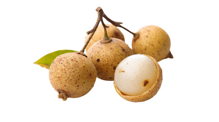 Fresh Longan Fruit Branch with Peeled Fruit on Transparent Background