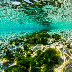 San Pietro in Bevagna, Salento: il fondale del Fiume Chidro con l'acqua turchese, la sabbia bianca e le alghe verdi © Andrea Carro