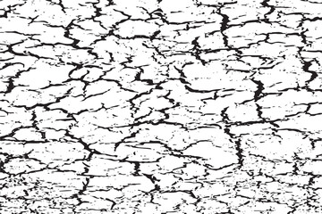 High Contrast Black and White Cracked Earth Texture