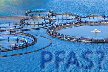 Dangerous PFAS Perfluoroalkyl and Polyfluoroalkyl substances in fish industry - They look like...