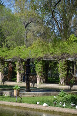Maria Luisa Park, Seville, Spain