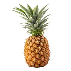 Fresh whole pineapple with green leaves isolated against a deep black background