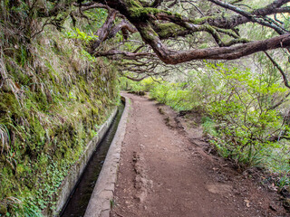 Fototapeta premium Levada irrigation channel on Madeira Portuguese island in the Atlantic Ocean