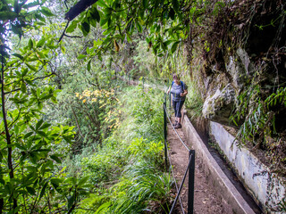 Obraz premium Levada irrigation channel on Madeira Portuguese island in the Atlantic Ocean