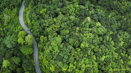 Electric cars to protect the environment and transportation road of Top view road in beautiful Rain forest with natural background, landscape view from flying drone in Nature