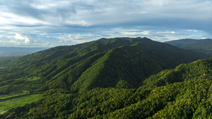 Green mountains and beautiful sky clouds under the blue sky , Wild flowers on a green grass meadow.