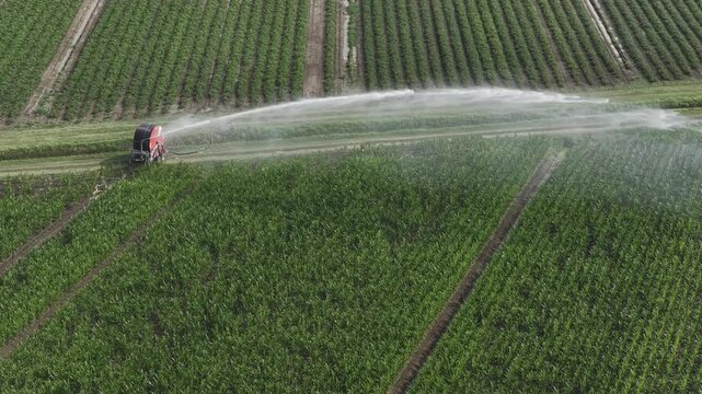 Irrigazione con irrigatore agricoltura moderna