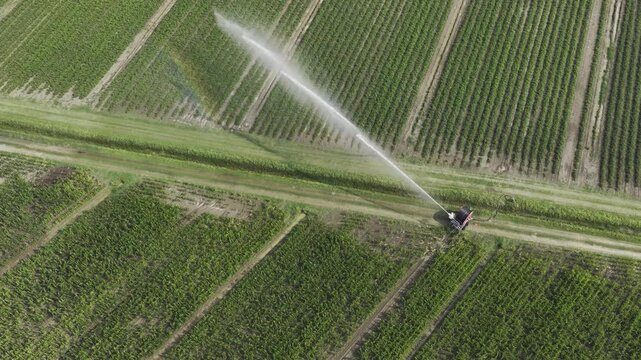 Irrigazione con irrigatore agricoltura moderna