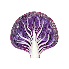 Cross Section of a Red Cabbage Revealing Intricate Veins and Layers