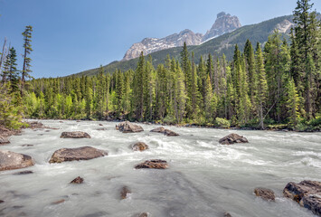 Rapids in the Kicking Horse River in Yoho Natinal Park, British Columbia, Canada