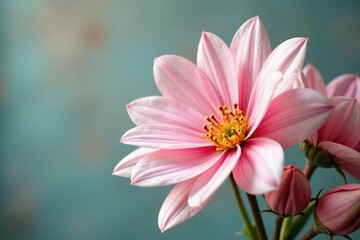 Obraz premium Delicate pink and white blooms in bridal bouquet , celebration, macro