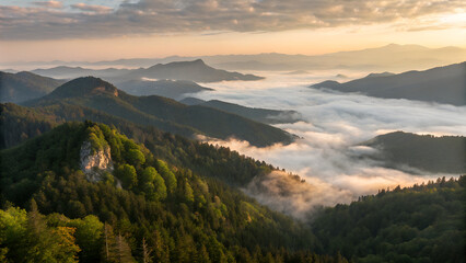 Aerial view of forested mountain peaks emerging from a thick sea of clouds at sunrise. The soft mist flows between the hills, creating a surreal, dreamlike atmosphere with warm light on the horizon. P