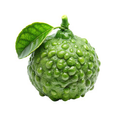Closeup of a Fresh Green Kaffir Lime with Leaf Isolated on White Background or transparent background png