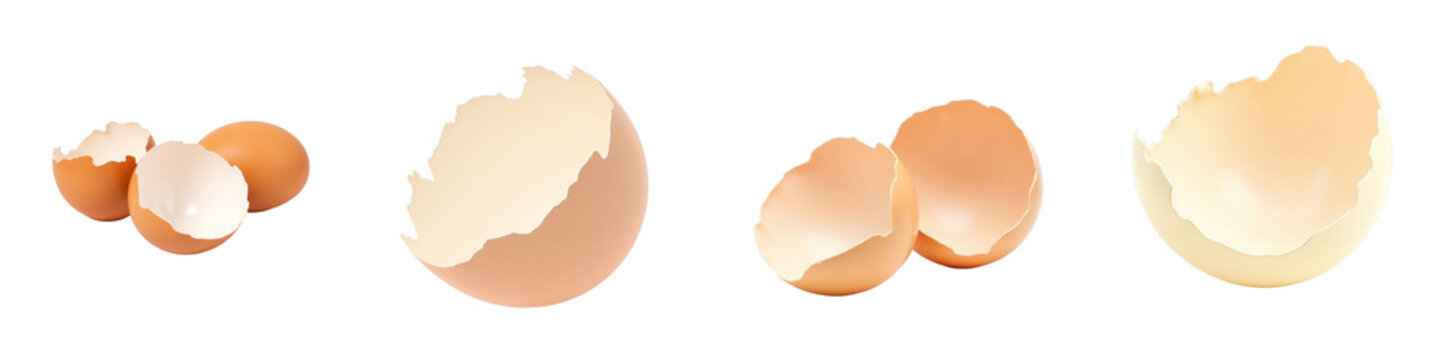 Variety of cracked egg shells in different colors and sizes isolated on transparent background for culinary and design purposes