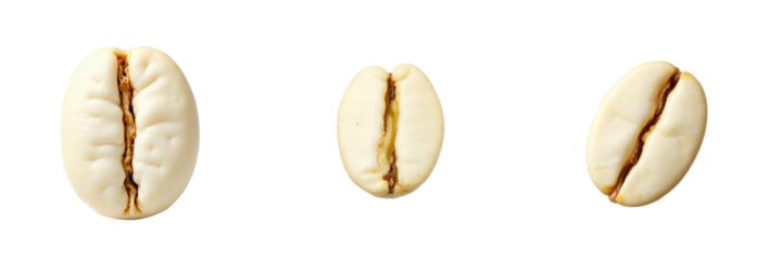 Three coffee beans in varying sizes isolated on a transparent background showcasing their distinctive shapes and textures with clear visibility of surface details.