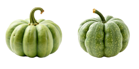 Two green pumpkins Cucurbita displayed against a transparent background showcasing their distinct shapes and textures fully isolated for clear visibility