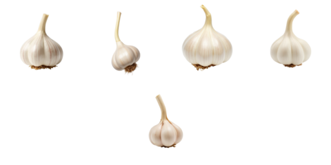 Group of fresh garlic bulbs with varying sizes displayed against a transparent background highlighting their unique shapes and textures, perfect for food-related compositions.