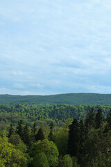 vertical photo of nature and sky. High quality photo