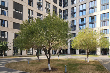 A tranquil courtyard surrounded by modern buildings displays lush trees and neatly manicured grass....