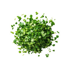 Obraz premium Freshly Chopped Parsley Explosion, Culinary Herb Burst, Green Garnish