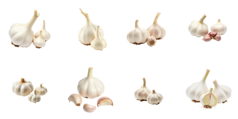Garlic plants varying in size displayed on a transparent background showcasing whole bulbs cloves and segments highlighting their texture and shape