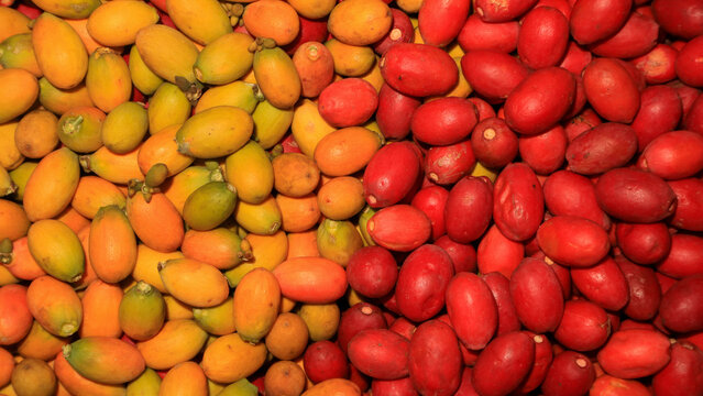 Fresh gnetum gnemon fruits 