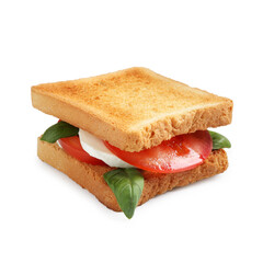 Tasty sandwich with mozzarella cheese, tomato and basil on white background
