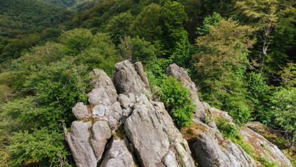 Ancient Volcanic Rocks in Povlen Mountain Forest